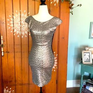 Stunning silver sequinned cocktail dress.
